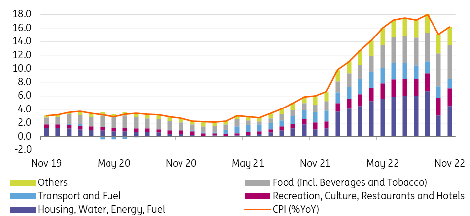 Czech Republic Inflation Rises Again Despite Government Measures   Czech Cpi Nov22 