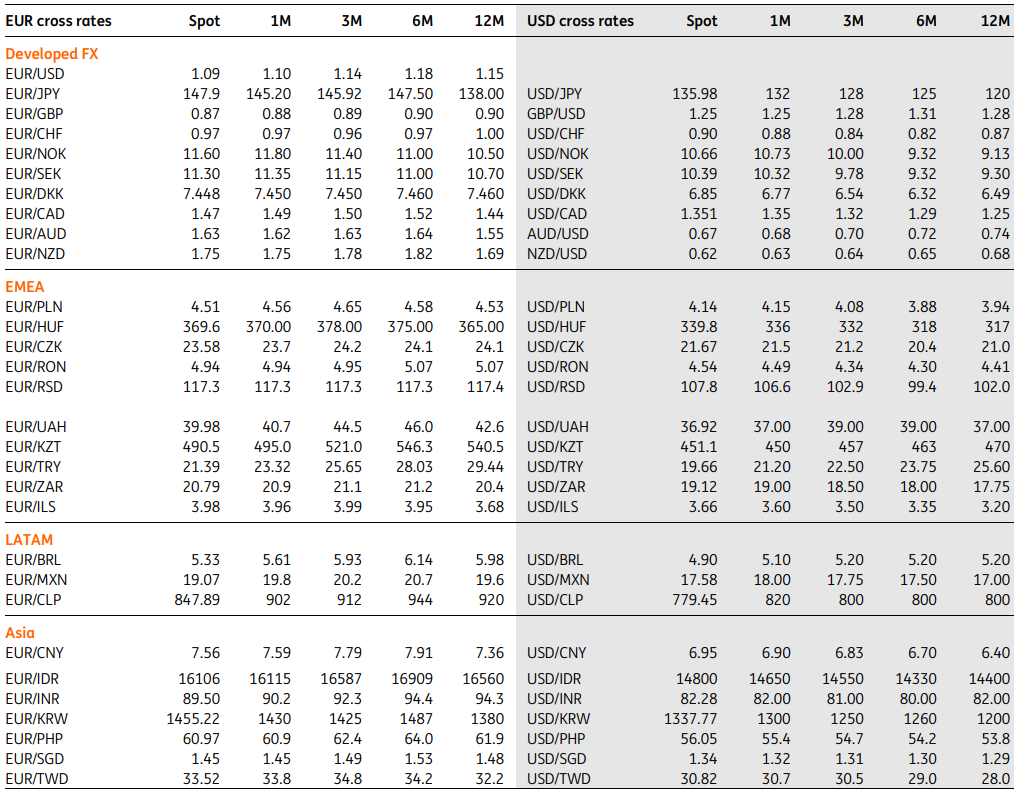 FX Talking: Forecasts table | articles | ING Think