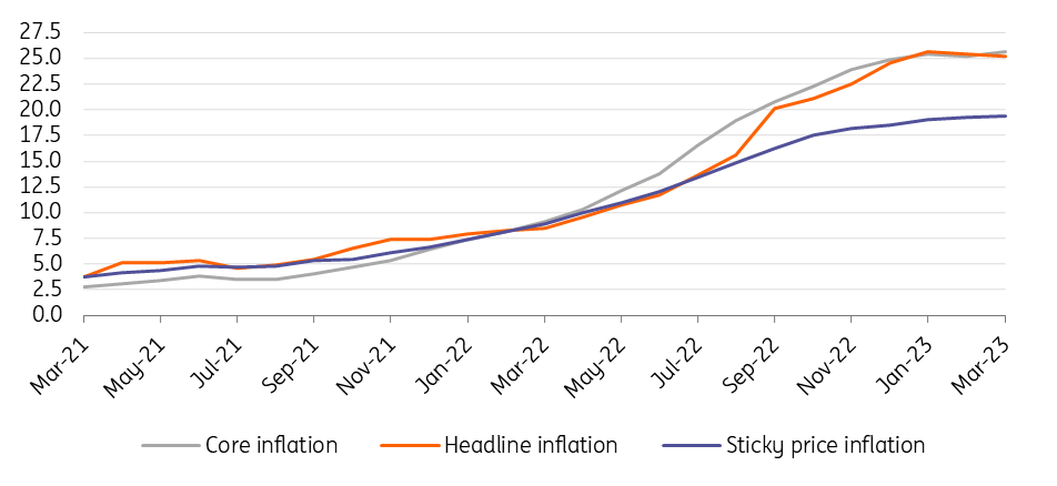 Hungarian Inflation Proves Stickier Than Expected Snaps ING Think   Hu Cpi 120423 3 