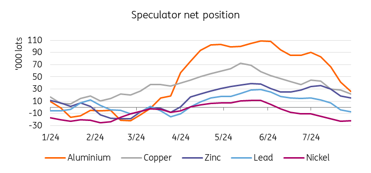Industrial Metals Monthly: Aluminium market turns bearish | articles ...