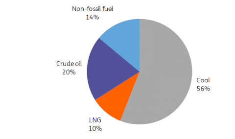 Asia’s race to net-zero: China | Article | ING Think