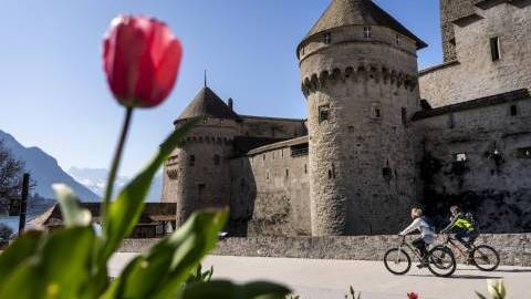 Despite EU troubles and the contraction in 1Q, recovery starts in Switzerland
