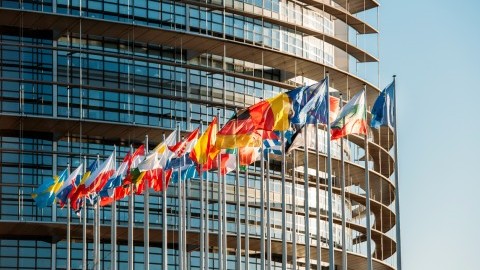 Eurozone economy grew marginally in the first quarter of 2023, but divergence is high