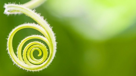 Rethinking the road to the circular economy