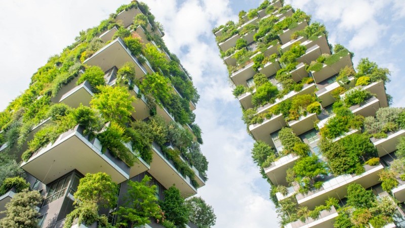 Our homes: It’s not easy being green | articles | ING Think