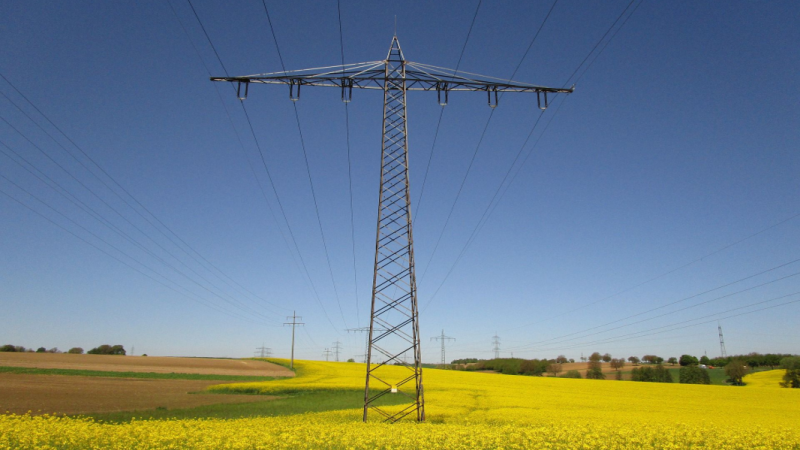 Power price normalisation and grids expansion in European utilities | Article