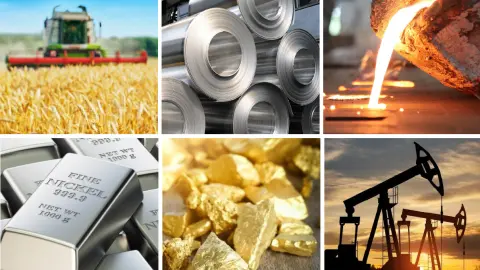 Commodities Outlook 2024: Cautious optimism