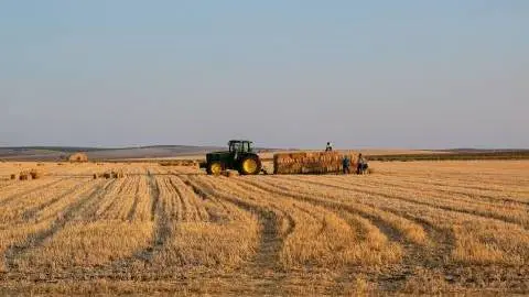 Spain’s food sector under pressure from inflation and climate change