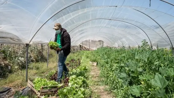 070720-image-sustainability.jpg