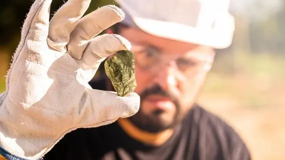 A miner in Minnesota holds up a gold nugget