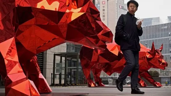 A man walks past the Year of the Ox statues in Beijing