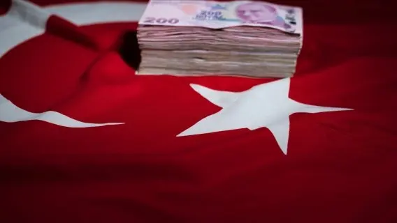 130224-image-turkey_flag_with_lira.jpg