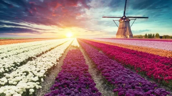 Netherlands
