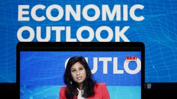 International Monetary Fund (IMF) chief economist Gita Gopinath speaks at a virtual press briefing in Washington D.C.