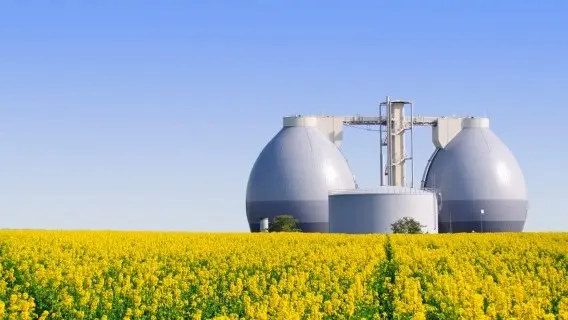 Bioenergy is a form of renewable energy derived from organic material