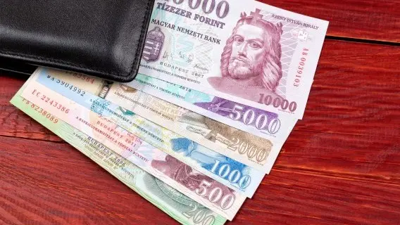 170720-imahe-hungary-money.jpg