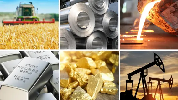 Commodities were the best performing asset class in 2021 and 2022. But the complex has fallen this year.