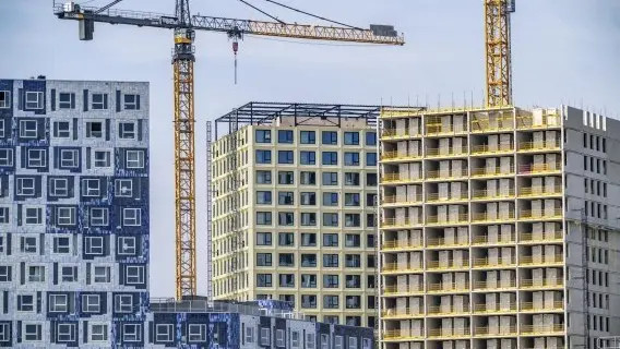 More than a quarter of Dutch builders reported higher profitability at the start of the fourth quarter – the strongest reading since 2019