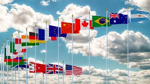G20 flags