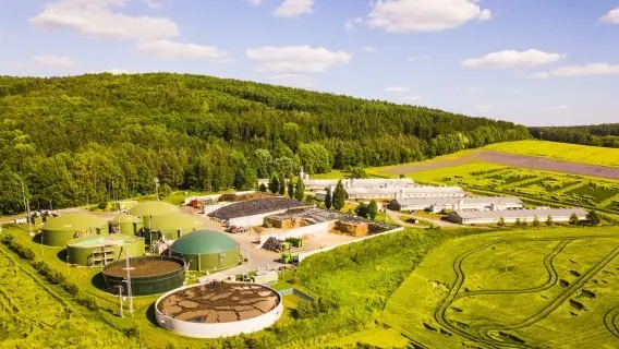 Green_agricultural_field_220223.jpg