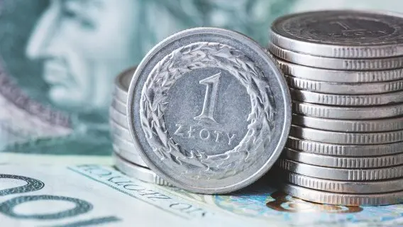 Poland_zloty_120124.jpg