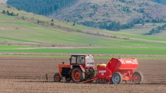 Romania farm