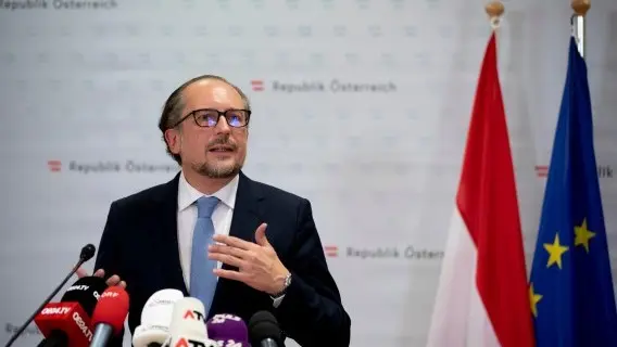 Alexander Schallenberg has stepped down as Austria's chancellor