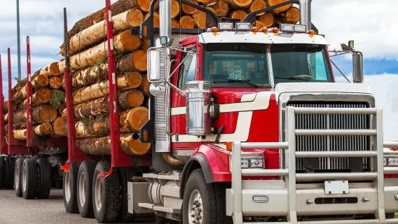 Trade and transport was one of the bright spots of the August jobs report