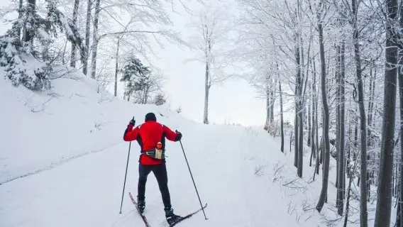 norways_skiier_climbing.jpg