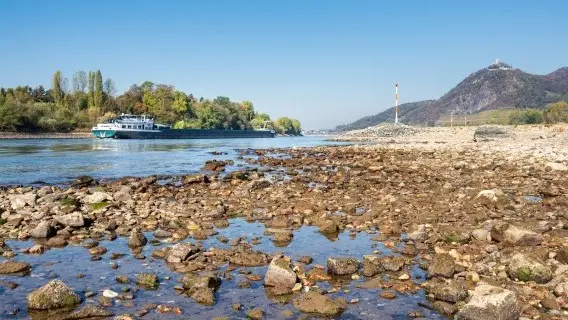 The direct effects of low water levels on the broader economy might not be immediately obvious, but can seriously impact profits, growth rates, and industrial production