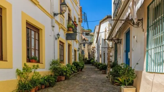 shutterstock_1996543931.jpg