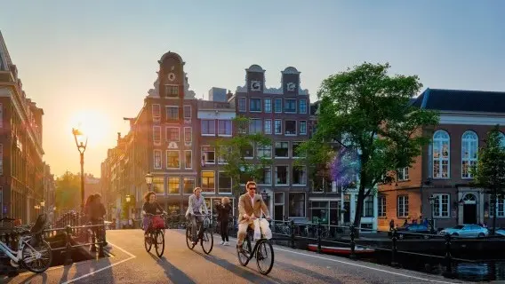 The Dutch economy remains somewhat resilient, due to high wage growth and more public spending