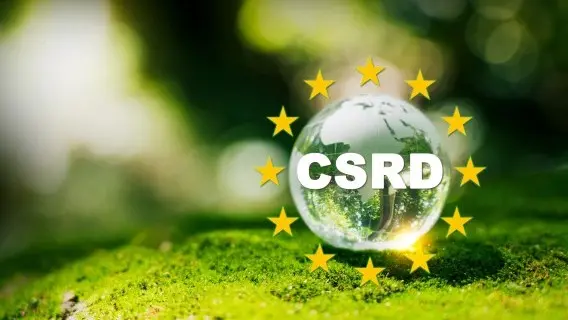 Companies subject to the CSRD have to report according to European Sustainability Reporting Standards (ESRS)