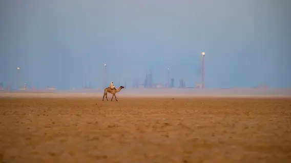 Saudi Arabia has left the price of its main crude oil grade for Asia unchanged