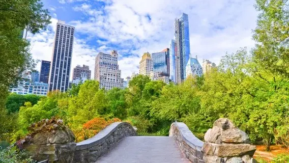 View of Central Park in New York City