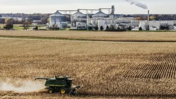 Corn for biofuels being harvested next to an ethanol production facility in Wisconsin