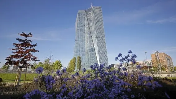 The European Central Bank in Frankfurt, Germany
