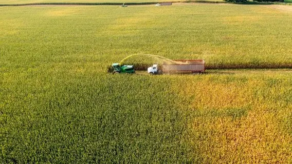 A tighter corn market in the coming year should support prices