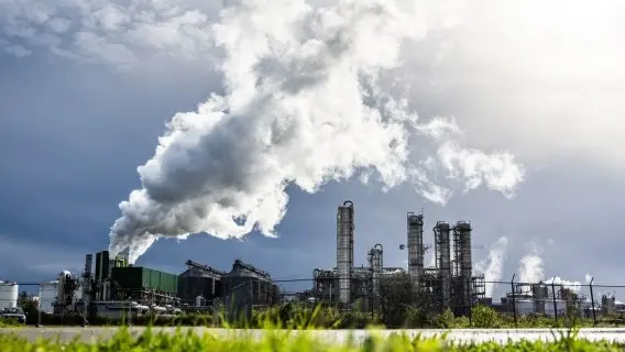 Two years of contraction have left production levels in early 2025 about 5% lower than their June 2023 peak – but we're expecting demand for Dutch industrial products to pick up this year
