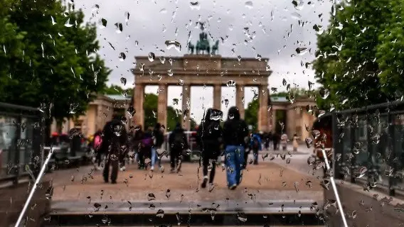 German ifo