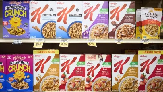 Ferrero agreed to buy cereal giant WK Kellogg in a $3.1bn deal earlier this year