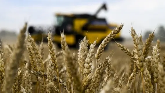 Good weather across Europe led to early harvests, like here in Belgium in 2025