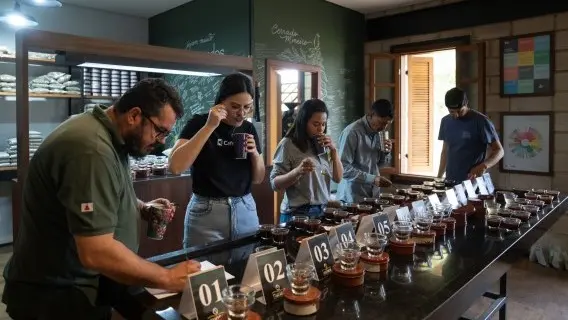 Brazilian coffee producers are being hit hard by US tariffs
