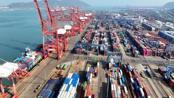 Cargo ships dock at a container terminal in Lianyungang Port, China