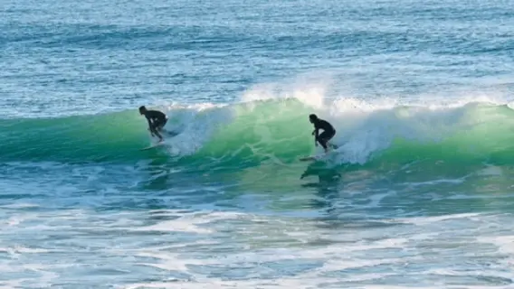 surfers.png