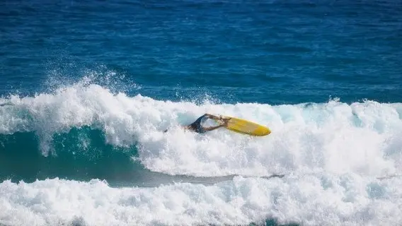 wipeout