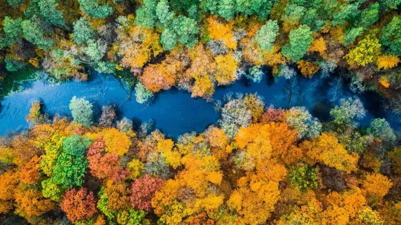 Sustainable disclosures: A three-layer transparency path towards darker green bond markets