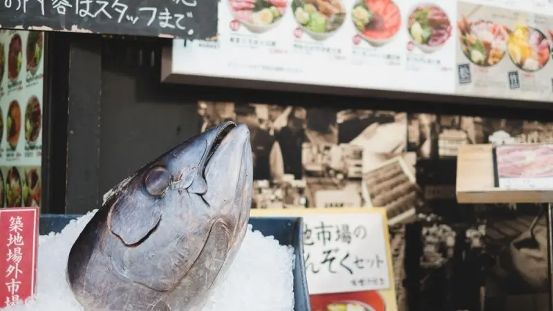 Japan: Something fishy