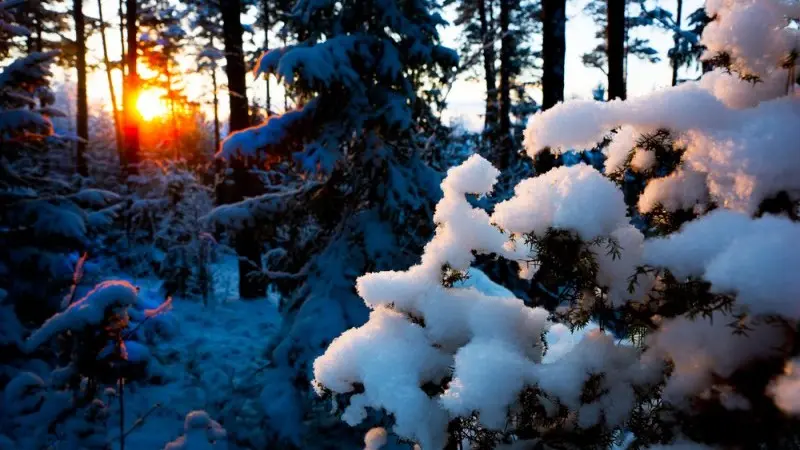 Riksbank preview: February blues