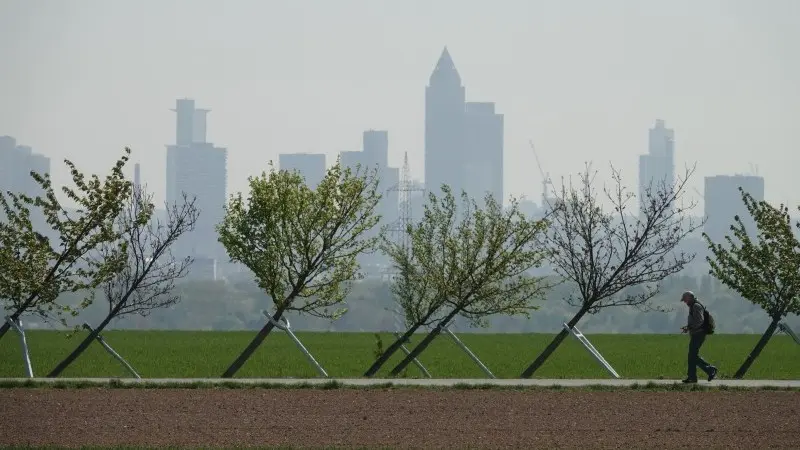 The corporate premium in green finance